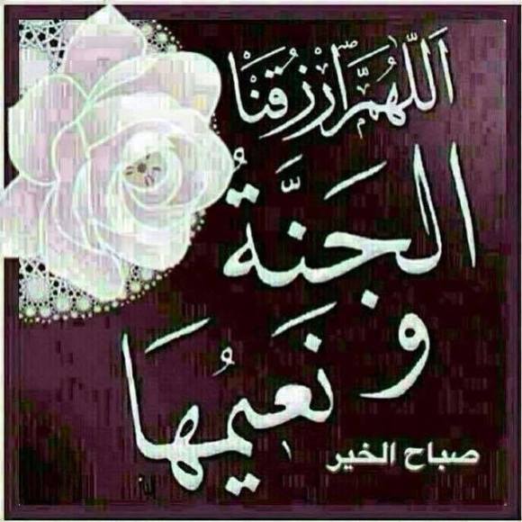 Meet your Posher, Elsayed - Picture 1 of 1